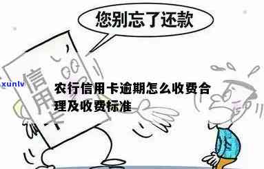 农行卡逾期手续费，熟悉农行卡逾期手续费：你需要知道的一切