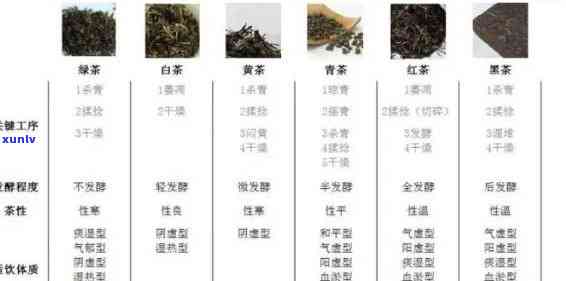 观山水是哪两种茶叶-观山水是哪两种茶叶类型