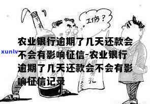 农业银行信用币逾期还款后能否再次借款？是否安全？解决 *** 是什么？为何逾期两年停止收利息？是否会上？