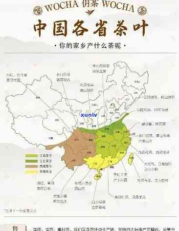 中国各个地方的茶叶产地，探索中国茶文化的多元性：各地茶叶产地介绍