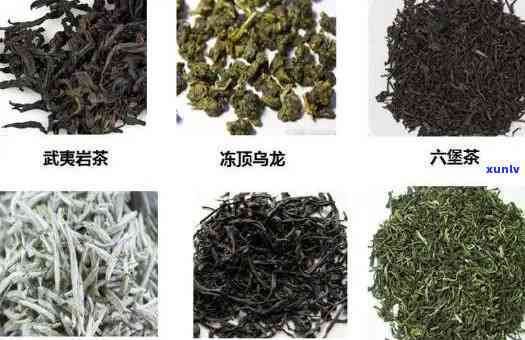 入口浓厚回的茶叶是什么品种？哪种药材也具有此特点？