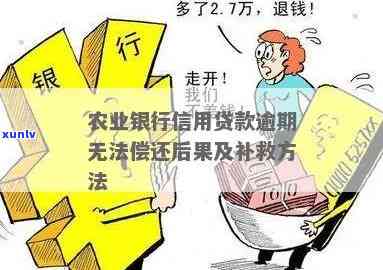 农业银行保捷贷逾期解决  及利息偿还方法全攻略