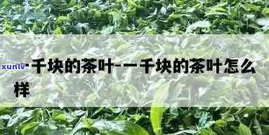 一千块钱一斤的茶叶-一千块钱一斤的茶叶什么档次