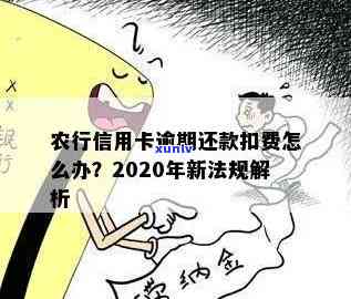 农业银行卡逾期扣款怎么办？详解起因与解决办法