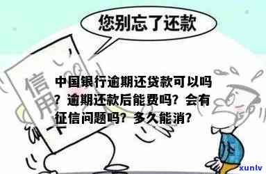 中国银行逾期2年：一次性还款能否减免利息？结果及解决办法、年利率多少、逾期多久能消除？