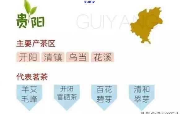 陕西产茶的地方：排名、位置与知名产地全解析