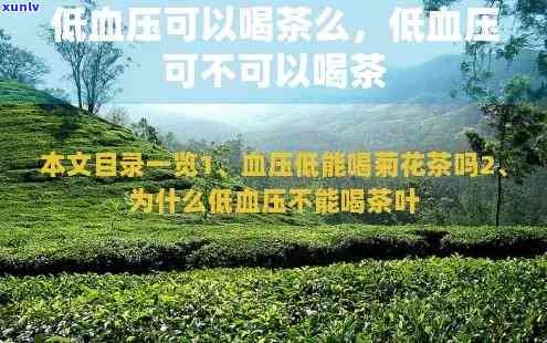 低血压能喝茶叶吗？性别、种类都不影响，适量饮用无妨。