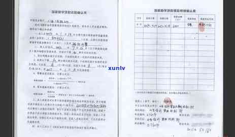 农业贷款逾期怎么办理，农业贷款逾期解决指南