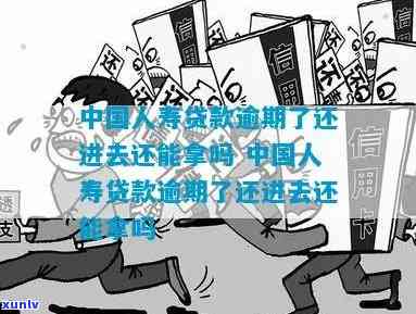 中国人寿逾期了再借-中国人寿逾期了再借款可以吗