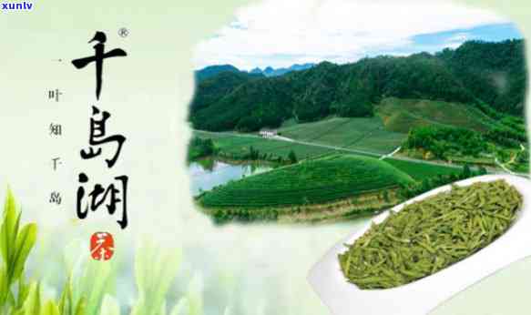 千岛湖的茶叶-千岛湖的茶叶是什么