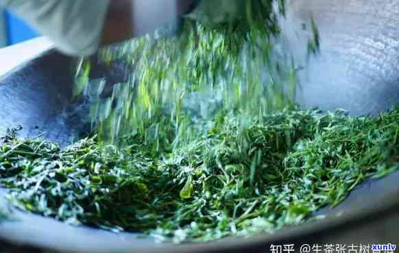 叶茶 *** 教程,教你怎么样用叶做茶叶，【实用教程】如何自制叶茶？让你轻松学会用叶做茶叶！