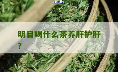 清肝明目：哪些茶叶适合饮用？