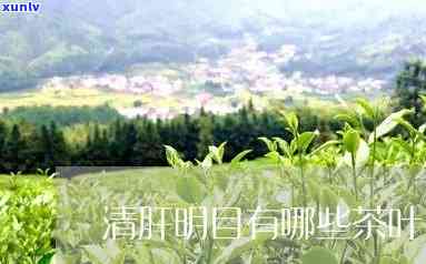 清肝明目有哪些茶叶-清肝明目有哪些茶叶?