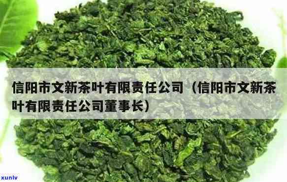 信阳万寿路文新茶叶-信阳文新茶叶店