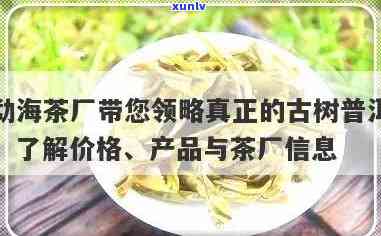 勐海古韵茶厂的茶叶怎么样，探秘勐海古韵茶厂：茶叶品质如何？