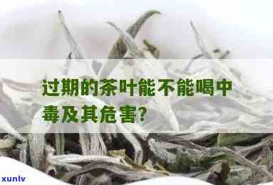 茶叶过期半年能喝吗？有吗？影响健吗？