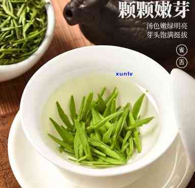 陈一凡茶叶专营店：真实评价与介绍