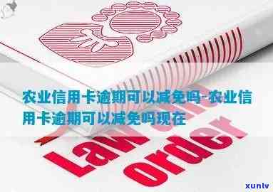 农业银行信用逾期2年可以申请减免吗，怎样申请农业银行信用卡逾期两年的减免？