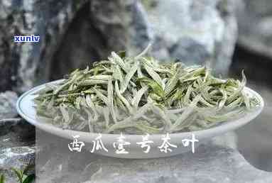 武夷山西瓜一号茶叶-武夷山西瓜一号茶厂