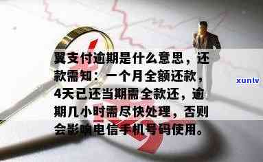 翼支付逾期是什么意思，翼支付逾期：了解其含义和影响