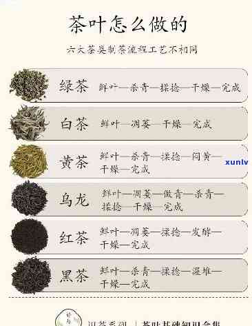 米粒大小的茶是什么茶，探秘：米粒大小的茶，你了解吗？