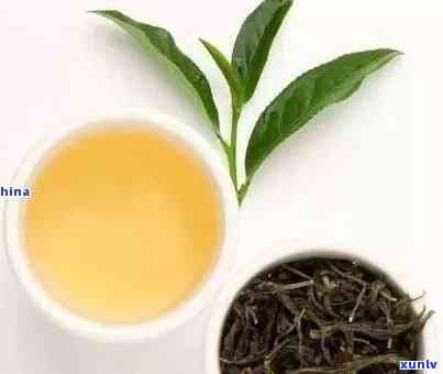 叶子挺长的茶叶是什么茶？详解其品种、特点与分类