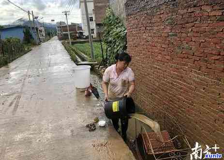 像棍子一样的茶是什么茶，揭秘“像棍子一样的茶”：它是什么茶？