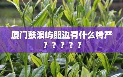 鼓浪屿三种特色茶叶-鼓浪屿三种特色茶叶是什么