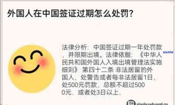 逾期影响：了解可能导致信用受损的所有因素和后果