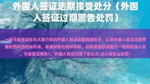 招商信用卡欠款60万的应对策略：专家建议和实际操作指南