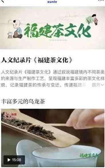 福州中闽草木人茶业，探索福建传统茶文化：走进福州中闽草木人茶业