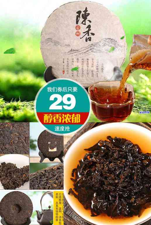 讲讲关于茶叶的知识，探索茶叶的世界：知识科普与品尝指南