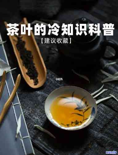 讲讲关于茶叶的知识，探索茶叶的世界：知识科普与品尝指南