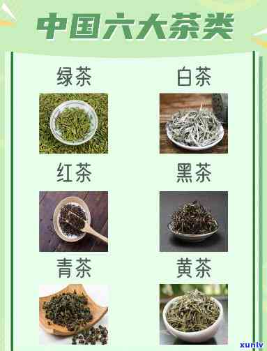 关于茶叶的所有知识点，探索茶叶的奥秘：全面了解茶叶的知识点