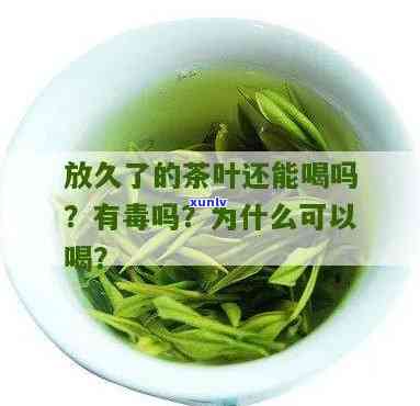 茶叶好多年了能喝吗有吗，茶叶放置多年还能饮用吗？是否含有性成分？