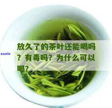 茶叶好多年了能喝吗-茶叶好多年了能喝吗有吗