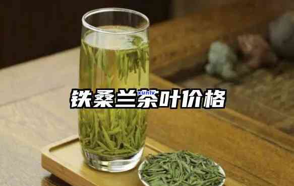 铁兰茶叶哪里有卖-铁兰茶叶价格