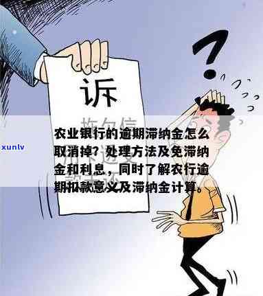 阳绿翡翠戒指封底吗？价格是多少？