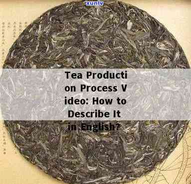 Understanding the Process of Tea Production in English