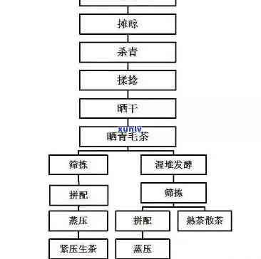 茶叶采摘后 *** 流程-茶叶采摘后 *** 流程图