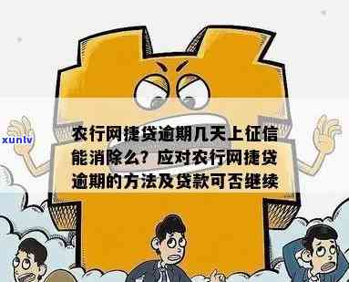 农行网捷贷逾期，警惕！农行网捷贷逾期可能带来的严重结果