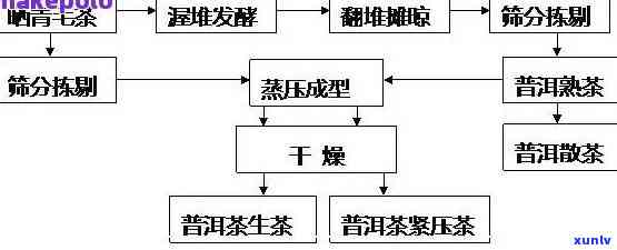 茶叶的生产工艺流程图详解及模板