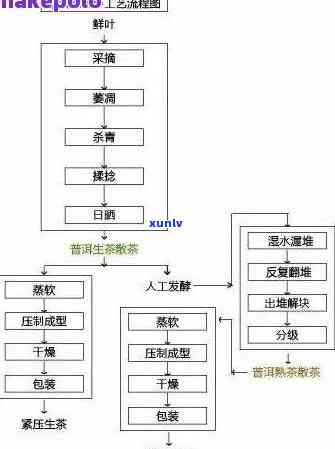 茶叶的生产工艺流程图详解及模板