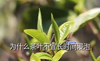 茶叶不能长时间浸泡的原因解析：过久浸泡可能导致苦涩、营养流失等问题