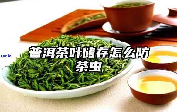 茶叶怎么保存不生虫，茶叶存大揭秘：怎样防止茶叶生虫？