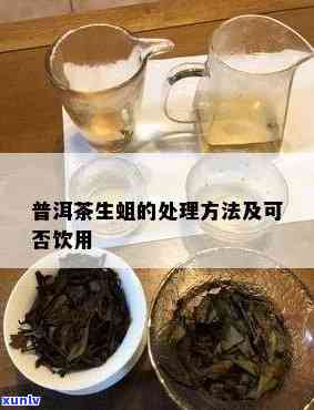 梦见茶叶生蛆，茶叶生蛆：梦中的警示与现实的反思