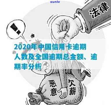 中国逾期率更高的省-全国逾期率