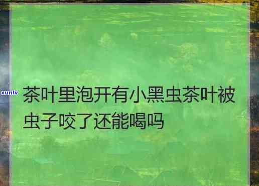 茶叶里泡开有小黑虫：是虫还是茶子？能喝吗？