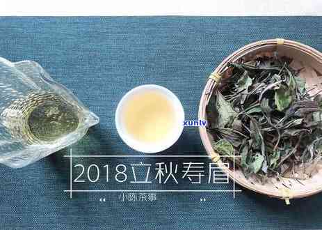 茶叶新茶时间：何时购买、保存与饮用的时机