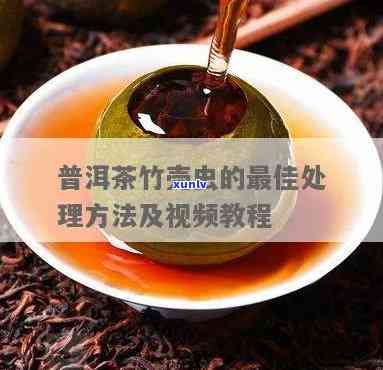 茶叶笋壳虫怎么去除掉，「茶叶笋壳虫的去除 *** 」